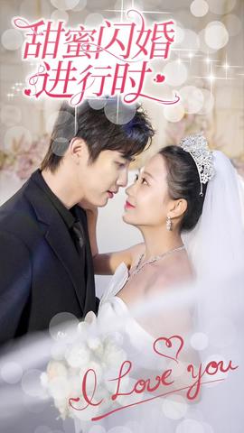 甜蜜闪婚进行时 1-20集