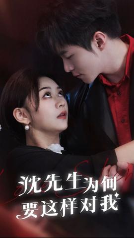 沈先生为何要这样对我 1-20集